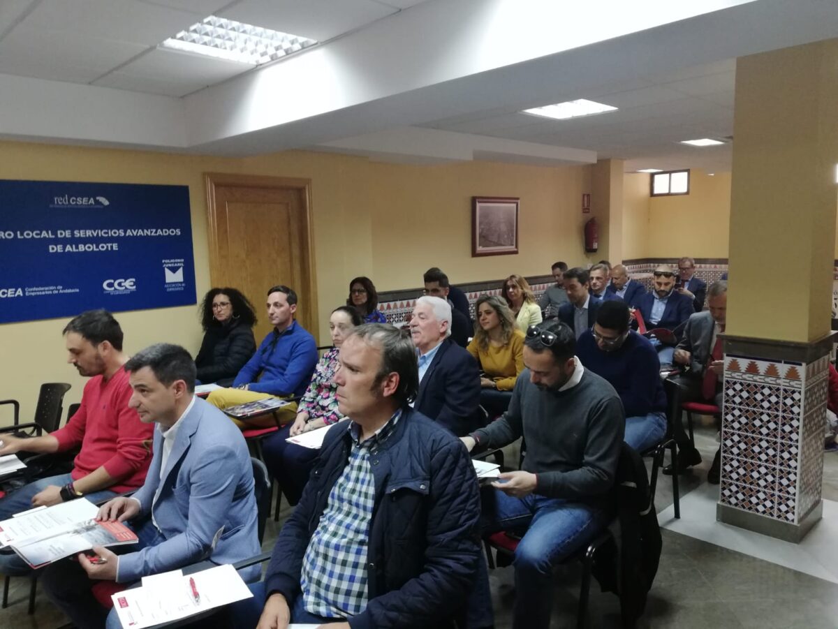 Profesionalización de la Gestión de PYMES de Granada