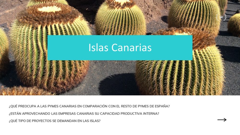 ¿Qué es lo que más preocupa a los empresarios de Canarias?