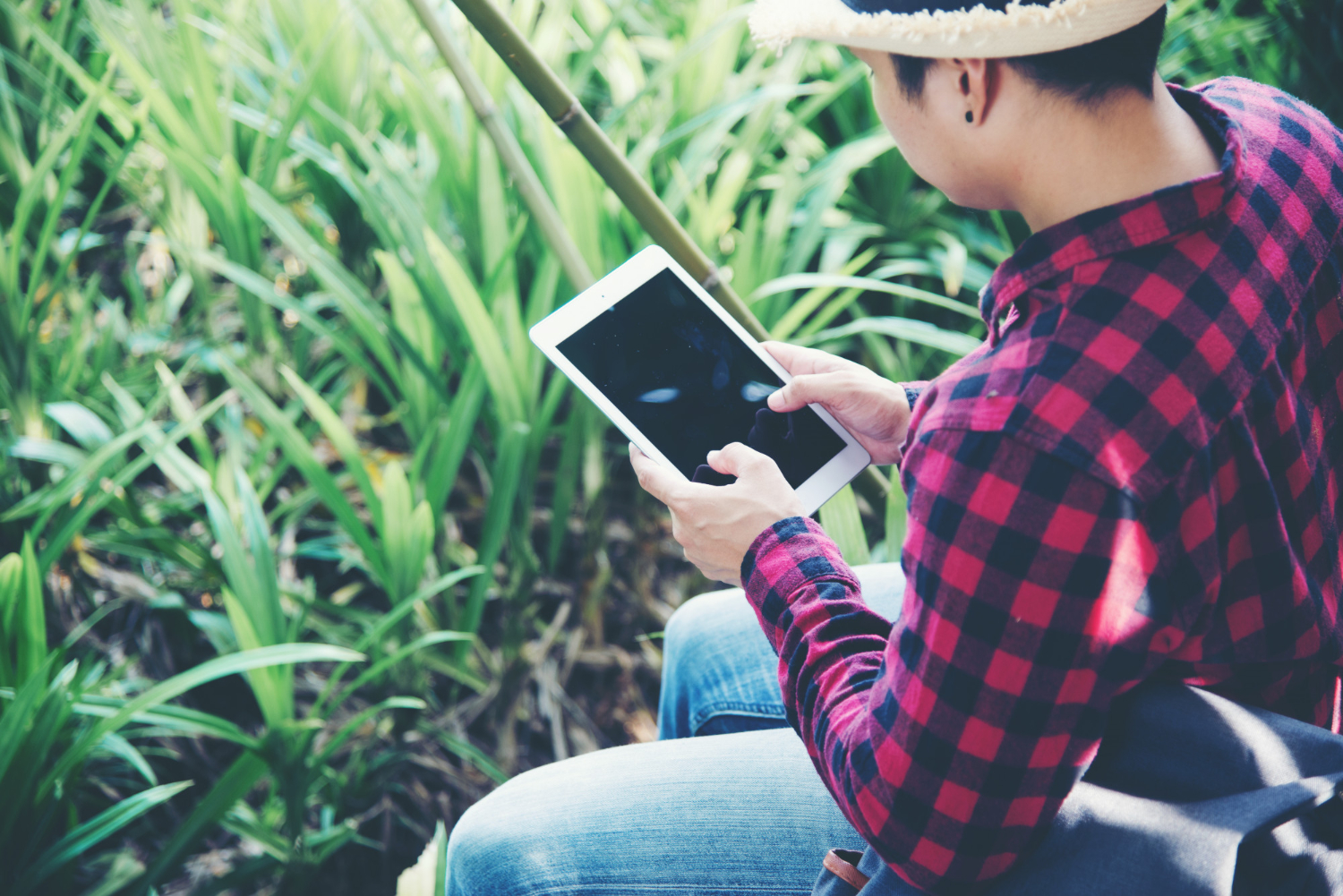 Impulsarán la digitalización de las pymes en entornos rurales
