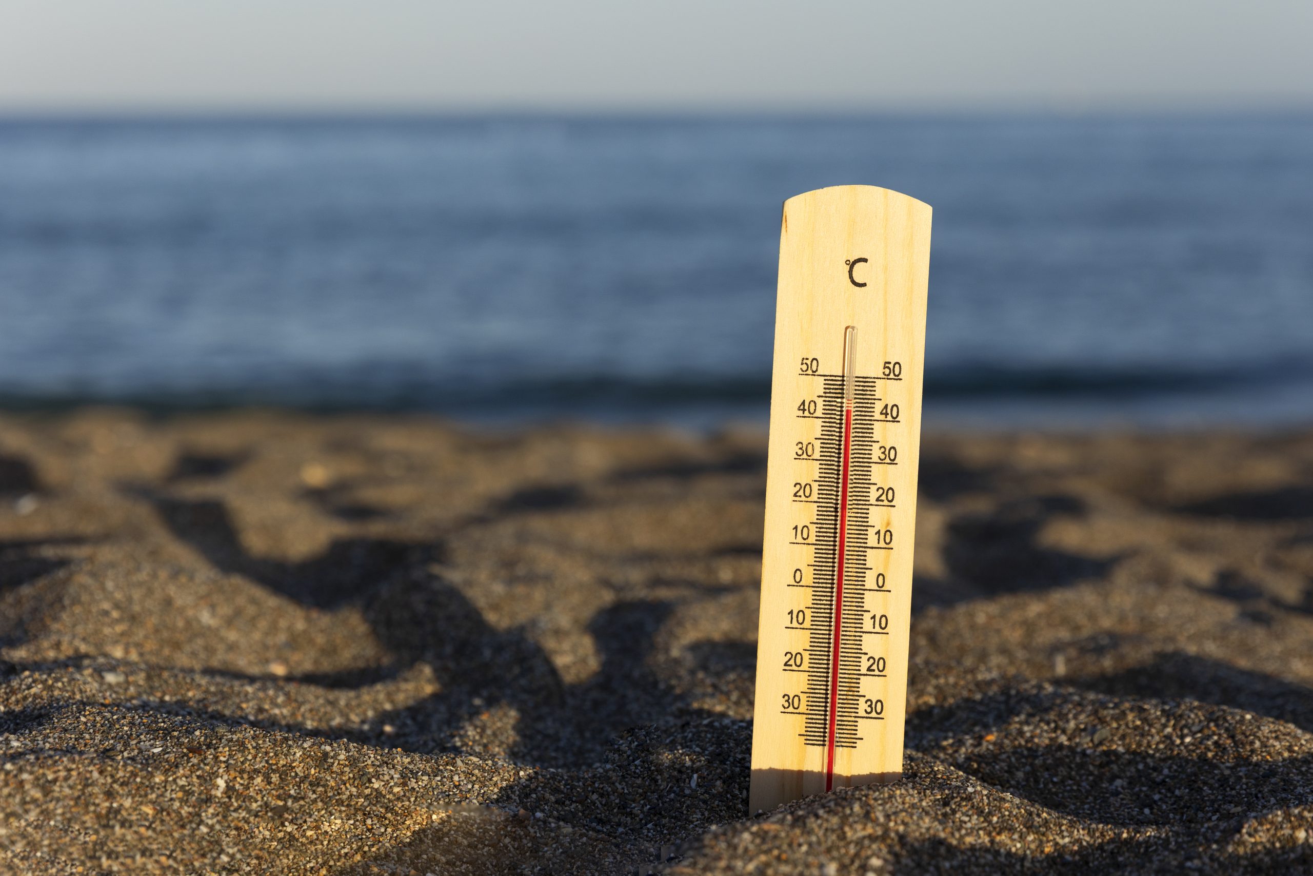 PYMES: Resiliencia ante ola de calor y precio de la luz
