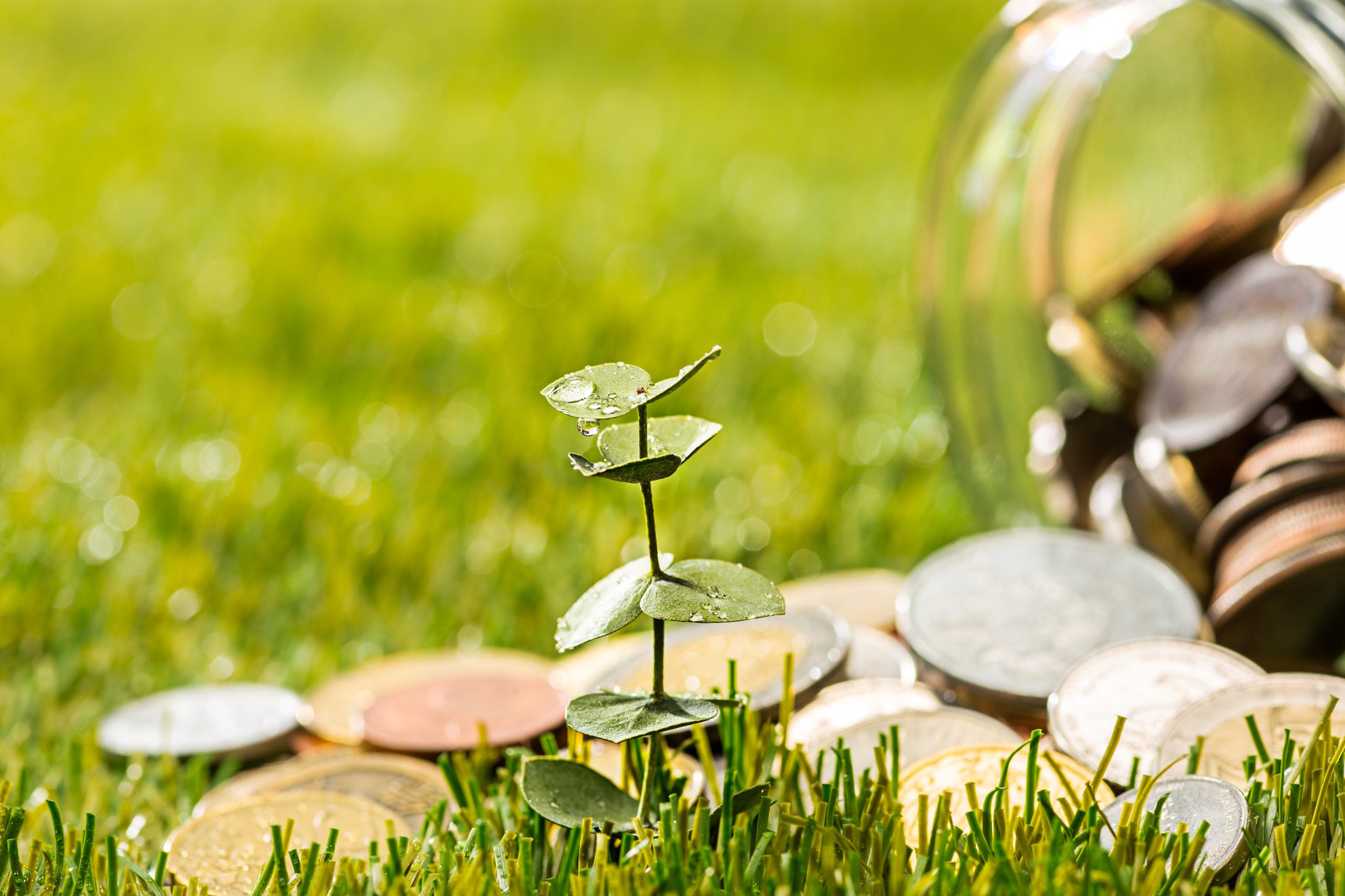 Las pymes reciben 90 millones de euros del PRTR