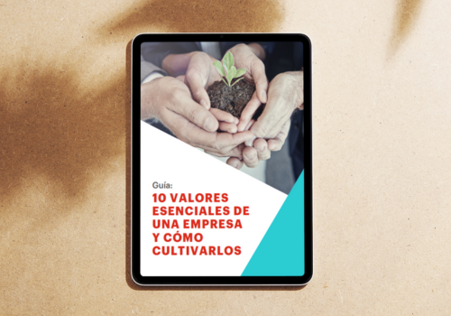 10 valores esenciales de una empresa y cómo cultivarlos