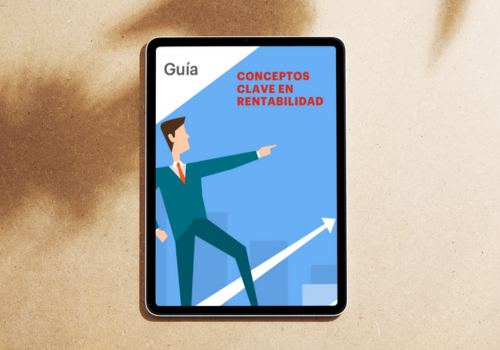Conceptos clave en rentabilidad